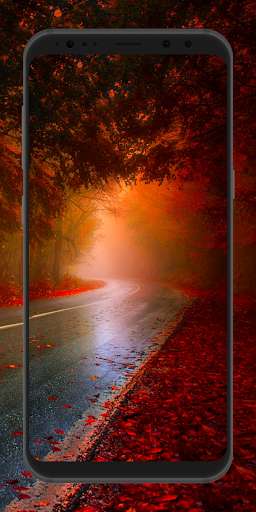 Run android online APK +100000 Autumn Wallpaper from MyAndroid or emulate +100000 Autumn Wallpaper using MyAndroid Run android online APK +100000 Autumn Wallpaper from MyAndroid or emulate +100000 Autumn Wallpaper using MyAndroid