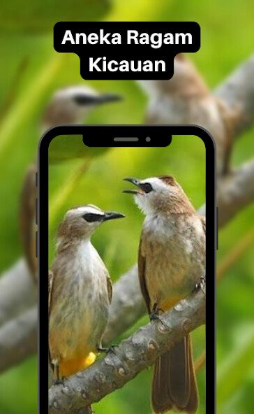 Run android online APK 1000 Suara Burung Lengkap from MyAndroid or emulate 1000 Suara Burung Lengkap using MyAndroid Run android online APK 1000 Suara Burung Lengkap from MyAndroid or emulate 1000 Suara Burung Lengkap using MyAndroid