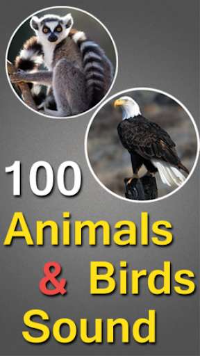 Emulate Android APK 100 Animals and Birds Sound