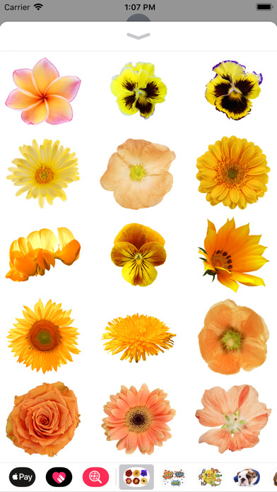 Emulate iPhone app 100+ Flower Stickers using MyAndroid Emulate iPhone app 100+ Flower Stickers using MyAndroid