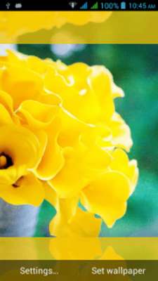 Emulate Android APK 1082 Flowers Live Wallpapers Emulate Android APK 1082 Flowers Live Wallpapers