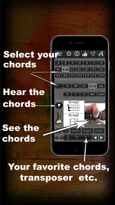 Emulate iPhone app 120 Balalaika Chords LR using MyAndroid Emulate iPhone app 120 Balalaika Chords LR using MyAndroid