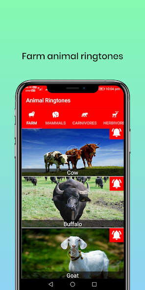 Run android online APK 150 Animal Ringtones from MyAndroid or emulate 150 Animal Ringtones using MyAndroid Run android online APK 150 Animal Ringtones from MyAndroid or emulate 150 Animal Ringtones using MyAndroid