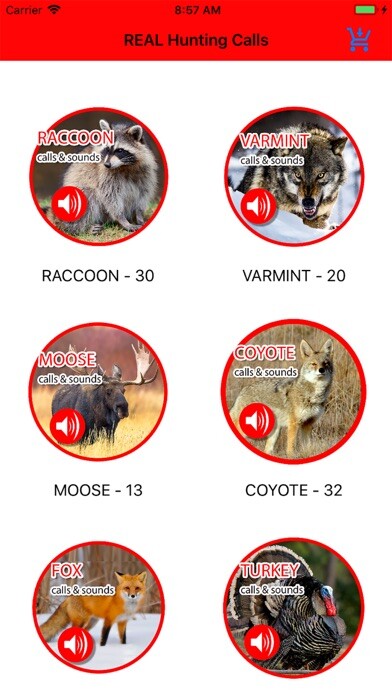 Emulate iPhone app 2000+ Animal Sounds Calls using MyAndroid Emulate iPhone app 2000+ Animal Sounds Calls using MyAndroid