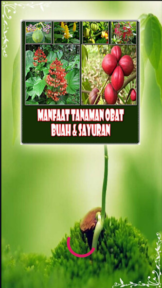 Run android online APK 200+ Tanaman Obat,Sayuran,Buah from MyAndroid or emulate 200+ Tanaman Obat,Sayuran,Buah using MyAndroid Run android online APK 200+ Tanaman Obat,Sayuran,Buah from MyAndroid or emulate 200+ Tanaman Obat,Sayuran,Buah using MyAndroid