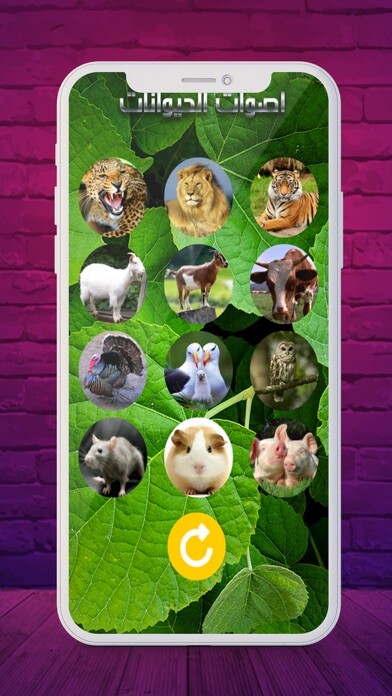 Emulate iPhone app ???-2020???????????? using MyAndroid Emulate iPhone app ???-2020???????????? using MyAndroid
