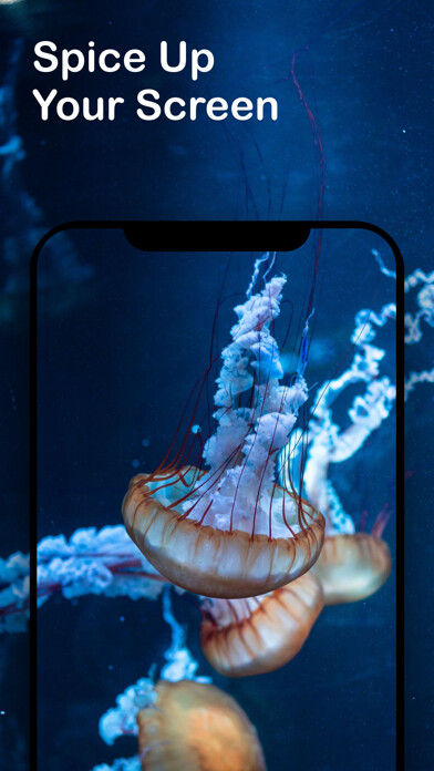 Emulate iPhone app 2021 Wallpapers: Live & Moving using MyAndroid Emulate iPhone app 2021 Wallpapers: Live & Moving using MyAndroid