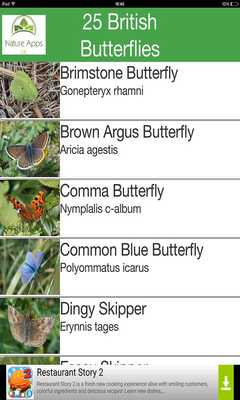 Emulate Android APK 25 British Butterflies Emulate Android APK 25 British Butterflies