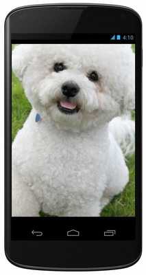 Emulate Android APK +3300 Dog Wallpapers Emulate Android APK +3300 Dog Wallpapers