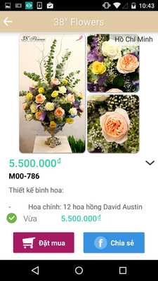 Emulate Android APK 38 Degree Flowers Emulate Android APK 38 Degree Flowers