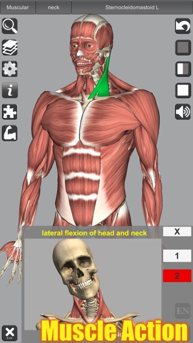 Emulate iPhone app 3D Anatomy using MyAndroid Emulate iPhone app 3D Anatomy using MyAndroid