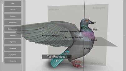 Emulate iPhone app 3D Bird Anatomy using MyAndroid Emulate iPhone app 3D Bird Anatomy using MyAndroid
