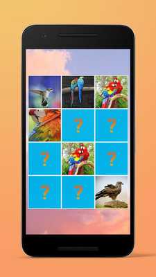 Emulate Android APK 3D Birds Theme Memory Game