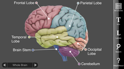 Emulate iPhone app 3D Brain using MyAndroid Emulate iPhone app 3D Brain using MyAndroid