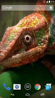 Emulate Android APK 3D Chameleon Live Wallpaper Emulate Android APK 3D Chameleon Live Wallpaper