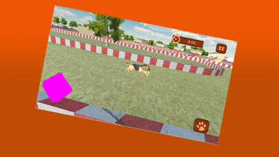Emulate iPhone app 3D Dog Stunts Simulator using MyAndroid Emulate iPhone app 3D Dog Stunts Simulator using MyAndroid