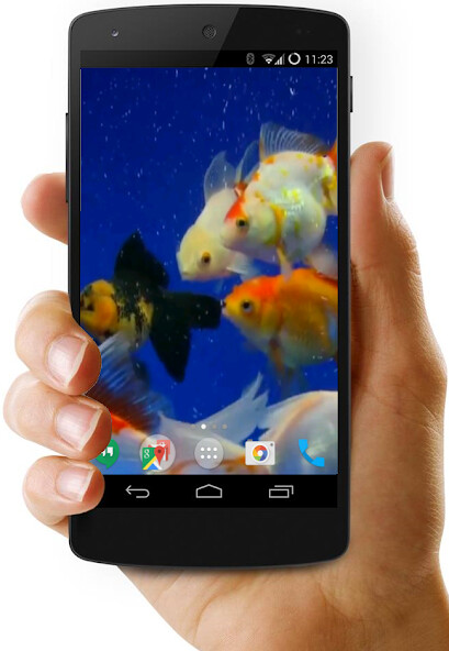Run android online APK 3D Fishes Video Live Wallpaper from MyAndroid or emulate 3D Fishes Video Live Wallpaper using MyAndroid Run android online APK 3D Fishes Video Live Wallpaper from MyAndroid or emulate 3D Fishes Video Live Wallpaper using MyAndroid