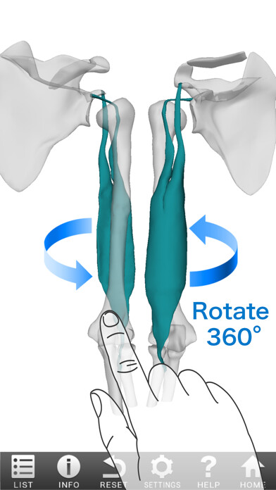 Emulate iPhone app 3D Muscle using MyAndroid Emulate iPhone app 3D Muscle using MyAndroid