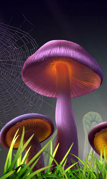 Run android online APK 3D Mushroom live wallpaper HD from MyAndroid or emulate 3D Mushroom live wallpaper HD using MyAndroid