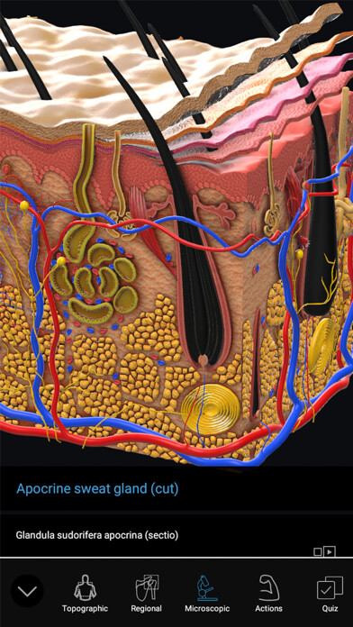 Emulate iPhone app 3D Organon Anatomy Enterprise using MyAndroid