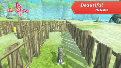 Run android online APK 3D Pets in the maze from MyAndroid or emulate 3D Pets in the maze using MyAndroid
