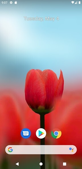 Run android online APK 3D Tulip Live Wallpaper from MyAndroid or emulate 3D Tulip Live Wallpaper using MyAndroid Run android online APK 3D Tulip Live Wallpaper from MyAndroid or emulate 3D Tulip Live Wallpaper using MyAndroid
