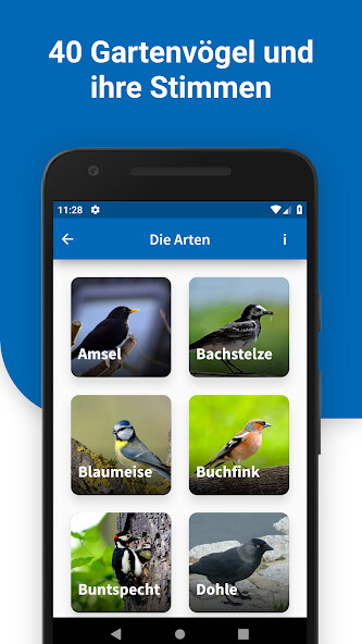 Run android online APK 40 Gartenvögel ihre Stimmen from MyAndroid or emulate 40 Gartenvögel ihre Stimmen using MyAndroid Run android online APK 40 Gartenvögel ihre Stimmen from MyAndroid or emulate 40 Gartenvögel ihre Stimmen using MyAndroid
