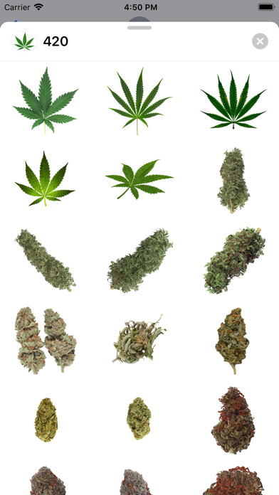 Emulate iPhone app 420 Leafs Stickers using MyAndroid Emulate iPhone app 420 Leafs Stickers using MyAndroid