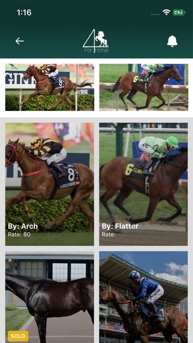 Emulate iPhone app 4horse using MyAndroid Emulate iPhone app 4horse using MyAndroid