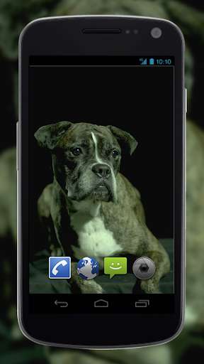Run android online APK 4K Dogs Slow-mo Video Live Wallpaper from MyAndroid or emulate 4K Dogs Slow-mo Video Live Wallpaper using MyAndroid Run android online APK 4K Dogs Slow-mo Video Live Wallpaper from MyAndroid or emulate 4K Dogs Slow-mo Video Live Wallpaper using MyAndroid