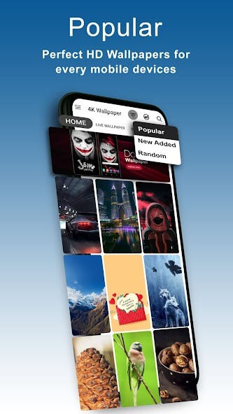 Run android online APK 4K Wallpaper Live Backgrounds from MyAndroid or emulate 4K Wallpaper Live Backgrounds using MyAndroid Run android online APK 4K Wallpaper Live Backgrounds from MyAndroid or emulate 4K Wallpaper Live Backgrounds using MyAndroid