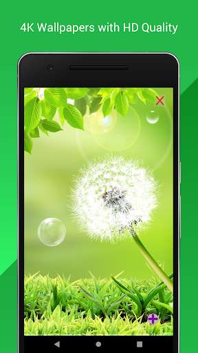 Run android online APK 4K Wallpapers with HD Quality from MyAndroid or emulate 4K Wallpapers with HD Quality using MyAndroid
