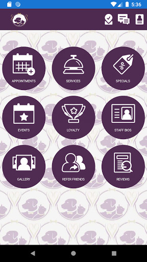 Run android online APK 4Pawz Kuwait from MyAndroid or emulate 4Pawz Kuwait using MyAndroid