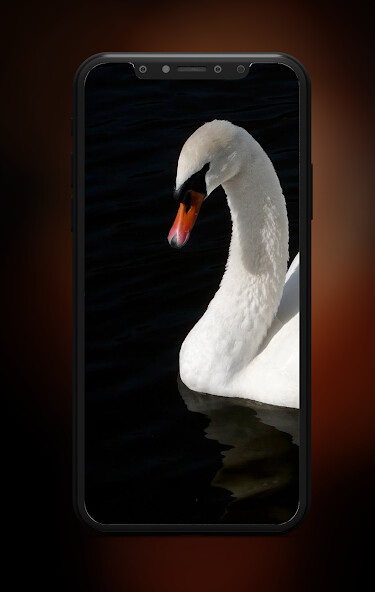 Run android online APK +50000 Animal Wallpapers from MyAndroid or emulate +50000 Animal Wallpapers using MyAndroid Run android online APK +50000 Animal Wallpapers from MyAndroid or emulate +50000 Animal Wallpapers using MyAndroid