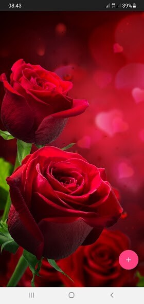 Run android online APK 50000 Nature Wallpapers from MyAndroid or emulate 50000 Nature Wallpapers using MyAndroid Run android online APK 50000 Nature Wallpapers from MyAndroid or emulate 50000 Nature Wallpapers using MyAndroid