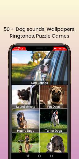 Run android online APK 50 Dog sounds from MyAndroid or emulate 50 Dog sounds using MyAndroid