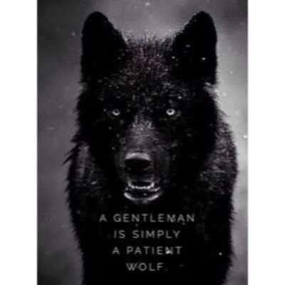 Emulate Android APK 6500+ Wolf Wallpapers - HD Backgrounds Emulate Android APK 6500+ Wolf Wallpapers - HD Backgrounds