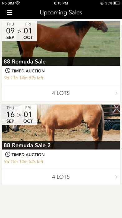 Emulate iPhone app 88 Remuda Sale using MyAndroid Emulate iPhone app 88 Remuda Sale using MyAndroid