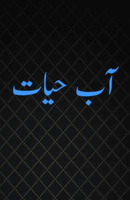 Emulate Android APK Aab e Hayat full noval Emulate Android APK Aab e Hayat full noval