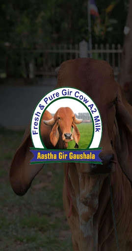 Run android online APK Aastha Gir Gaushala from MyAndroid or emulate Aastha Gir Gaushala using MyAndroid Run android online APK Aastha Gir Gaushala from MyAndroid or emulate Aastha Gir Gaushala using MyAndroid