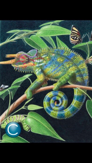 Emulate iPhone app ABC Dino Xenegugeli Deutsch using MyAndroid Emulate iPhone app ABC Dino Xenegugeli Deutsch using MyAndroid