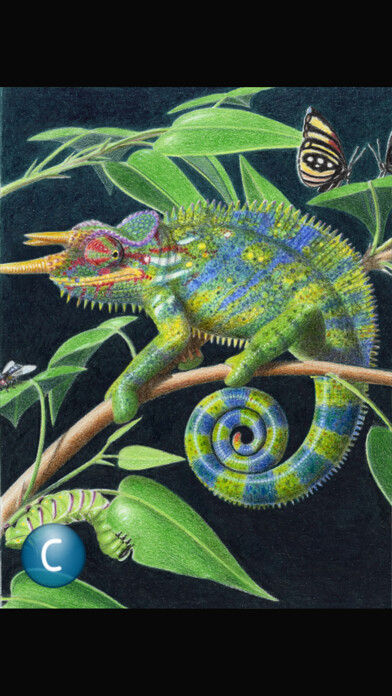 Emulate iPhone app ABC Dino Xenegugeli Schweiz using MyAndroid Emulate iPhone app ABC Dino Xenegugeli Schweiz using MyAndroid