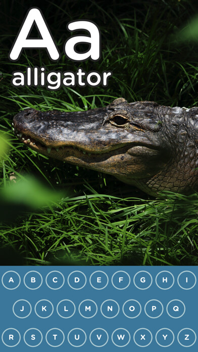 Emulate iPhone app ABC Touch Lite using MyAndroid