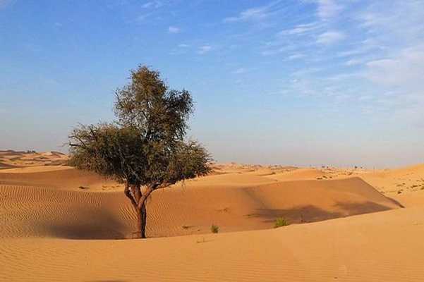 Emulate Android APK Abu Dhabi Tourist Places Emulate Android APK Abu Dhabi Tourist Places