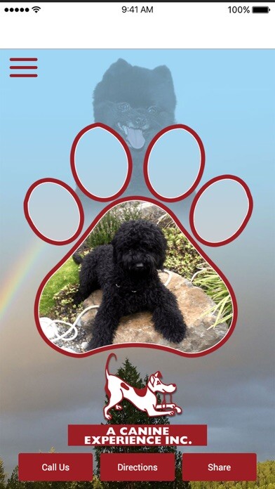 Run android online APK A Canine Experience from MyAndroid or emulate A Canine Experience using MyAndroid Run android online APK A Canine Experience from MyAndroid or emulate A Canine Experience using MyAndroid