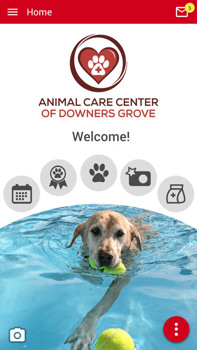Emulate iPhone app ACC Downers Grove using MyAndroid