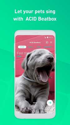 Emulate Android APK ACID Beatbox Emulate Android APK ACID Beatbox