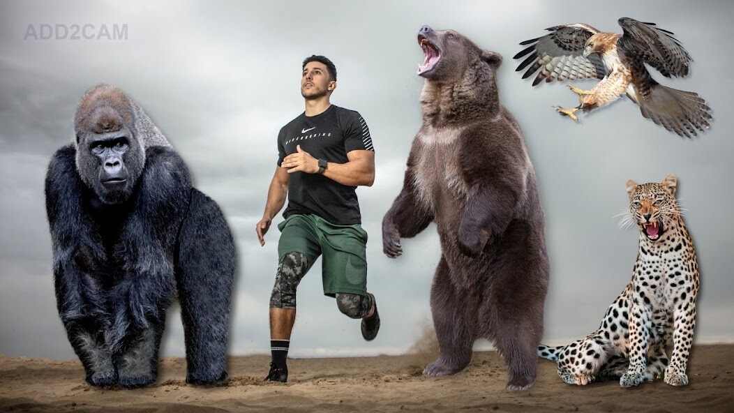 Run android online APK Add2Cam Animals from MyAndroid or emulate Add2Cam Animals using MyAndroid Run android online APK Add2Cam Animals from MyAndroid or emulate Add2Cam Animals using MyAndroid