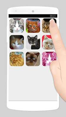 Emulate Android APK add cat face to picture