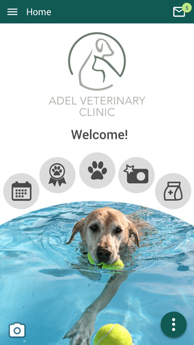 Emulate iPhone app Adel Veterinary Clinic using MyAndroid